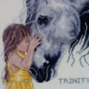 Meet your Posher, Trinity's